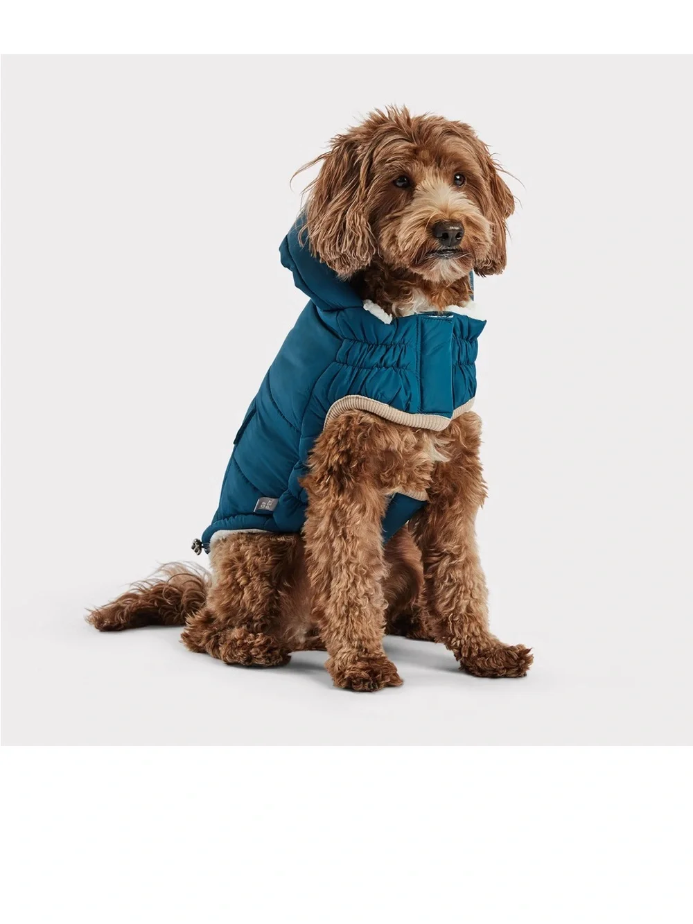 Teal Puffer Dog Jacket with Hood - Cozy Winter Coat